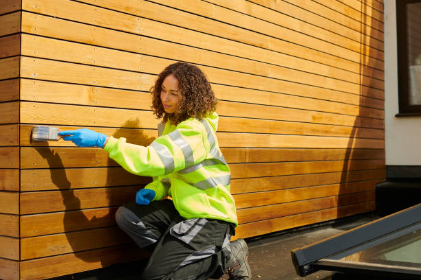 Affordable Siding Repair and Maintenance Services in North Pearsall, TX